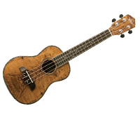 ukulele technik 02